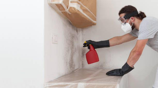 Professional Basement Mold Remediation technician working in Mechanicsburg, PA