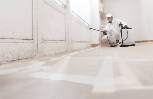 24/7 Emergency Basement Mold Remediation experts in Mechanicsburg, PA
