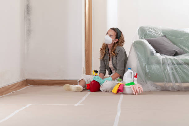 Reliable Basement Mold Remediation contractor in Mechanicsburg, PA by WQB Mold Removal